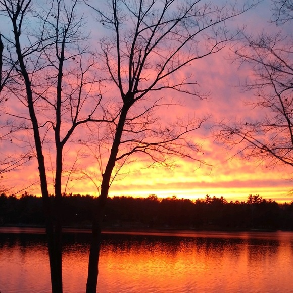 Meet your Posher, Grace - Picture 1 of 1